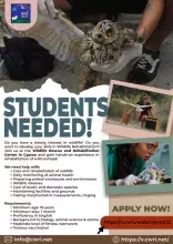 Internships information