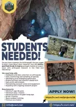 Internships information