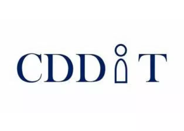 CDDiT training offer for the summer term